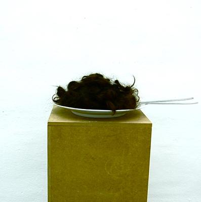 hairy meal